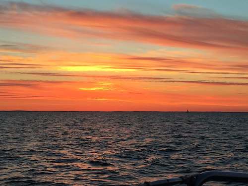 Iltapurjehdukset Helsingin Tervasaaresta